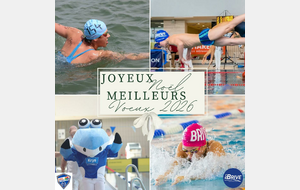 Bonnes Fêtes et Meilleurs Voeux